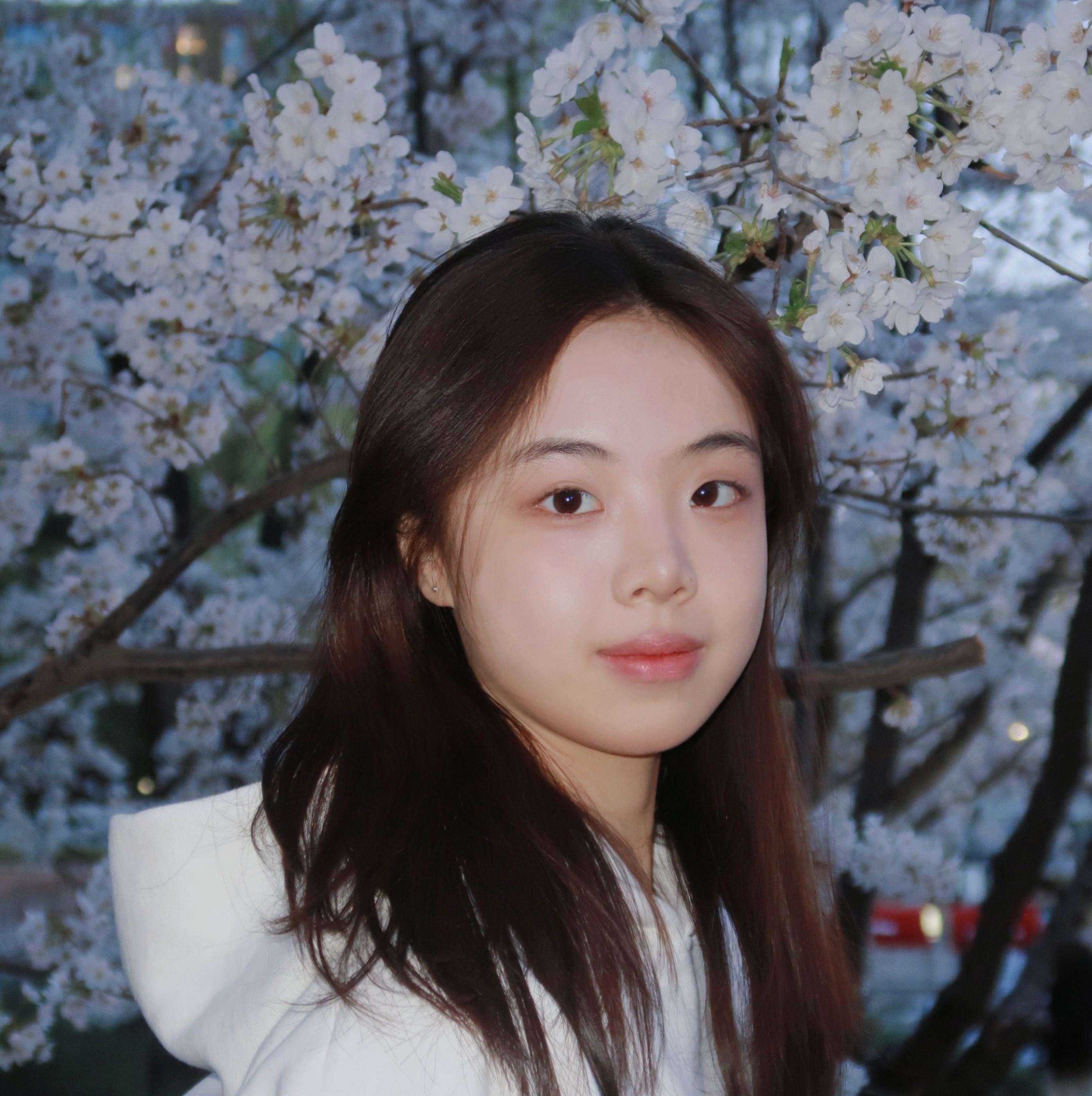 Zhizhen Pan (潘至真)